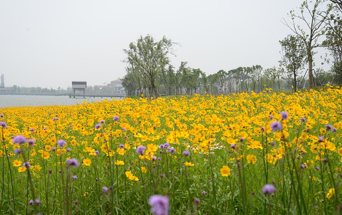 督公湖踏青团建 | 我们一起放肆一起嗨,让春天更精彩